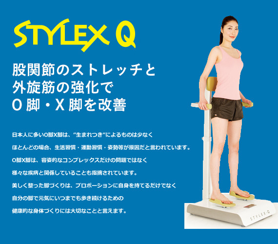 スタイレックスQ